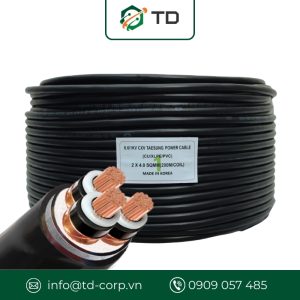 Day-cap-trung-the